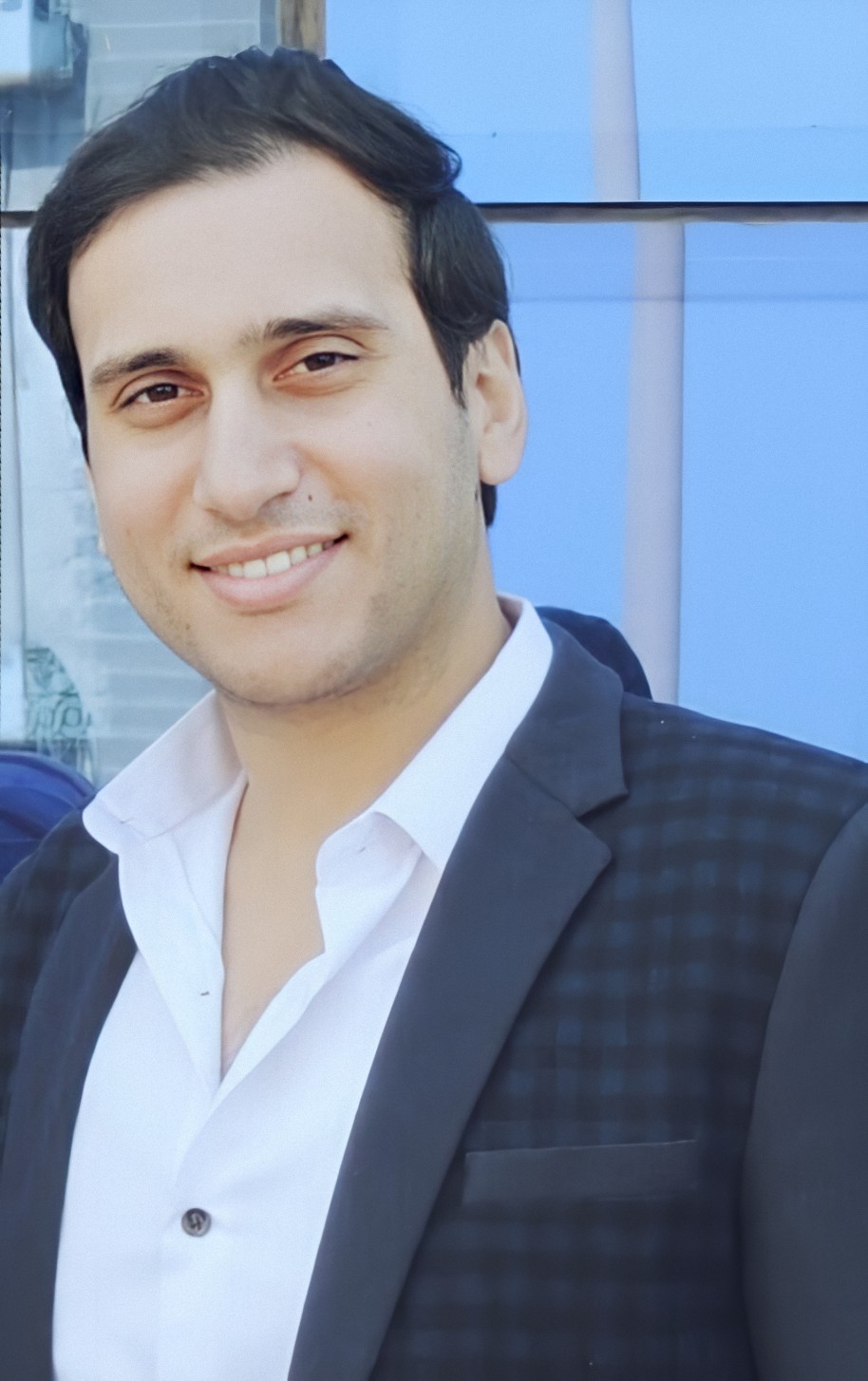 Ahmed A Holiel